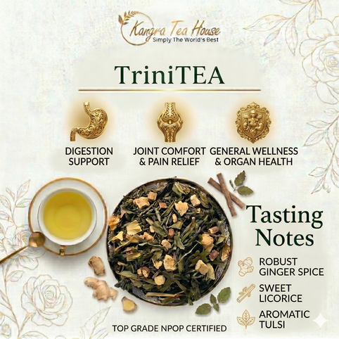 Premium First Flush Ginger Mulethi Whole Leaf Green Tea - Anti Aging | Helps in Pains & Inflammations | Controls Body Aches |
