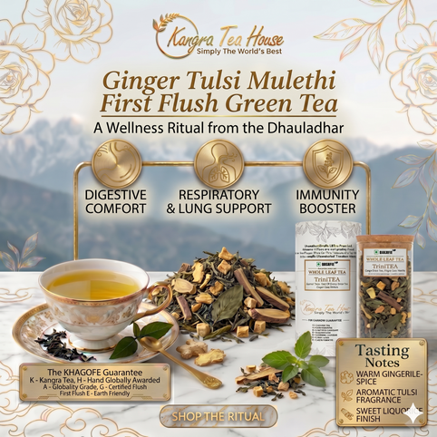 Premium First Flush Ginger Mulethi Whole Leaf Green Tea - Anti Aging | Helps in Pains & Inflammations | Controls Body Aches |