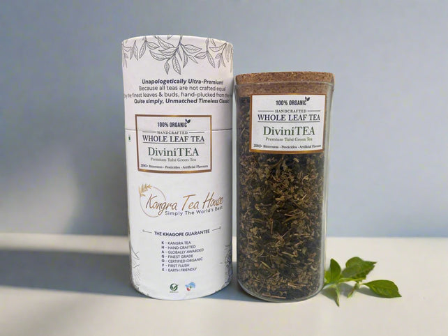 Tulsi Green Tea