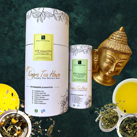 EXPERIENCE THE ULTIMATE TEA ADVENTURE WITH OUR 100G & 20G MIX & MATCH PACK - Create Your Own Combos- DIY