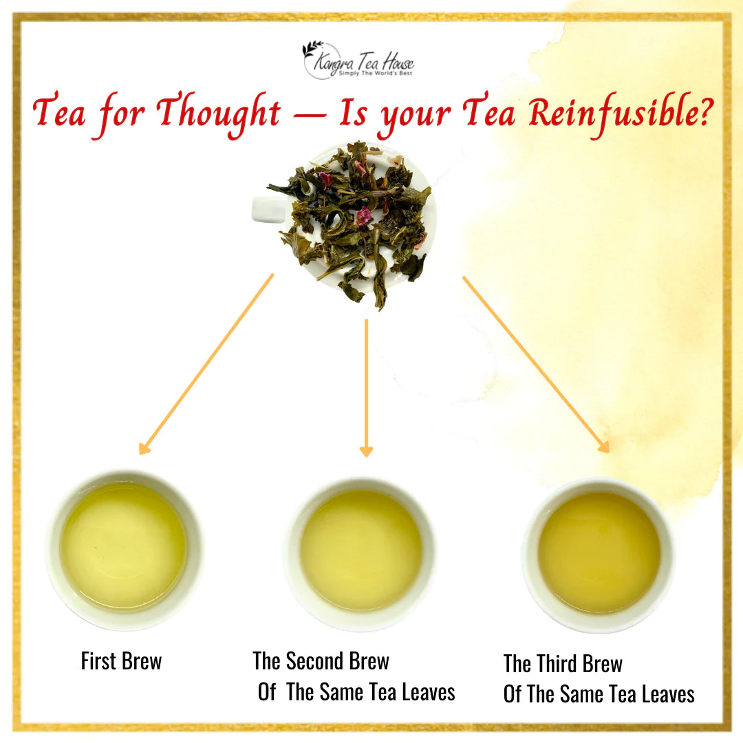 Reinfusible Kangra Green Tea